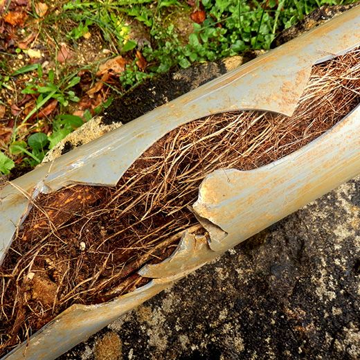 Same Day Drain Sewer & Rooter Pros Across Penacook